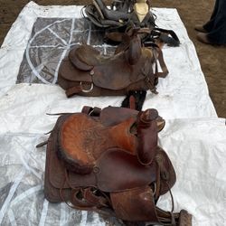 Horse Saddles