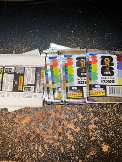 Panini World Cup stickers