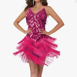 Sequin Dress for Women Latin Fringed Flapper Dress for 1920s Gatsby Themed Party