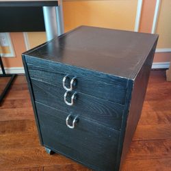 Rolling Filing Cabinet . Drawers And Printer Stand 