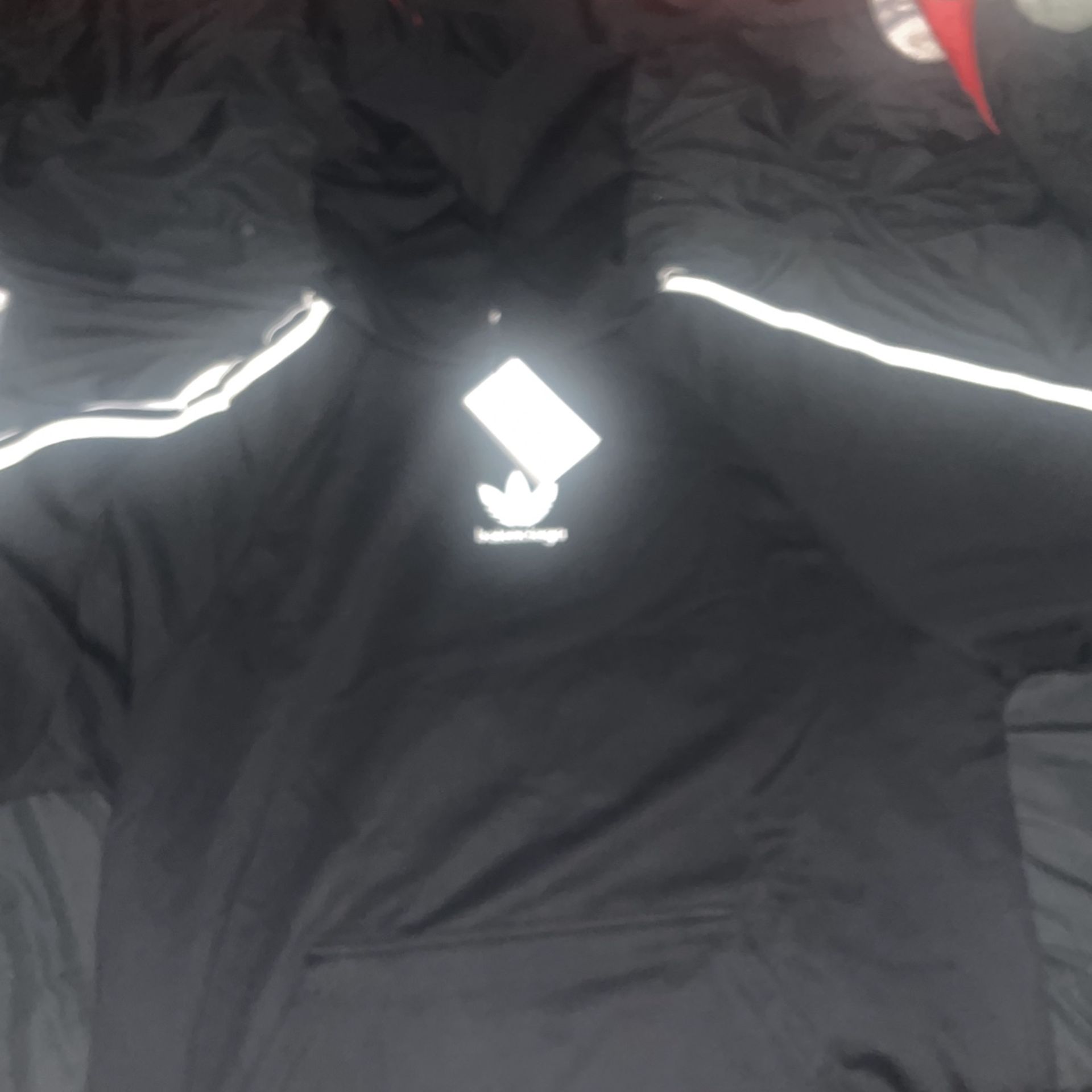 Balenciaga X Adidas Hoody