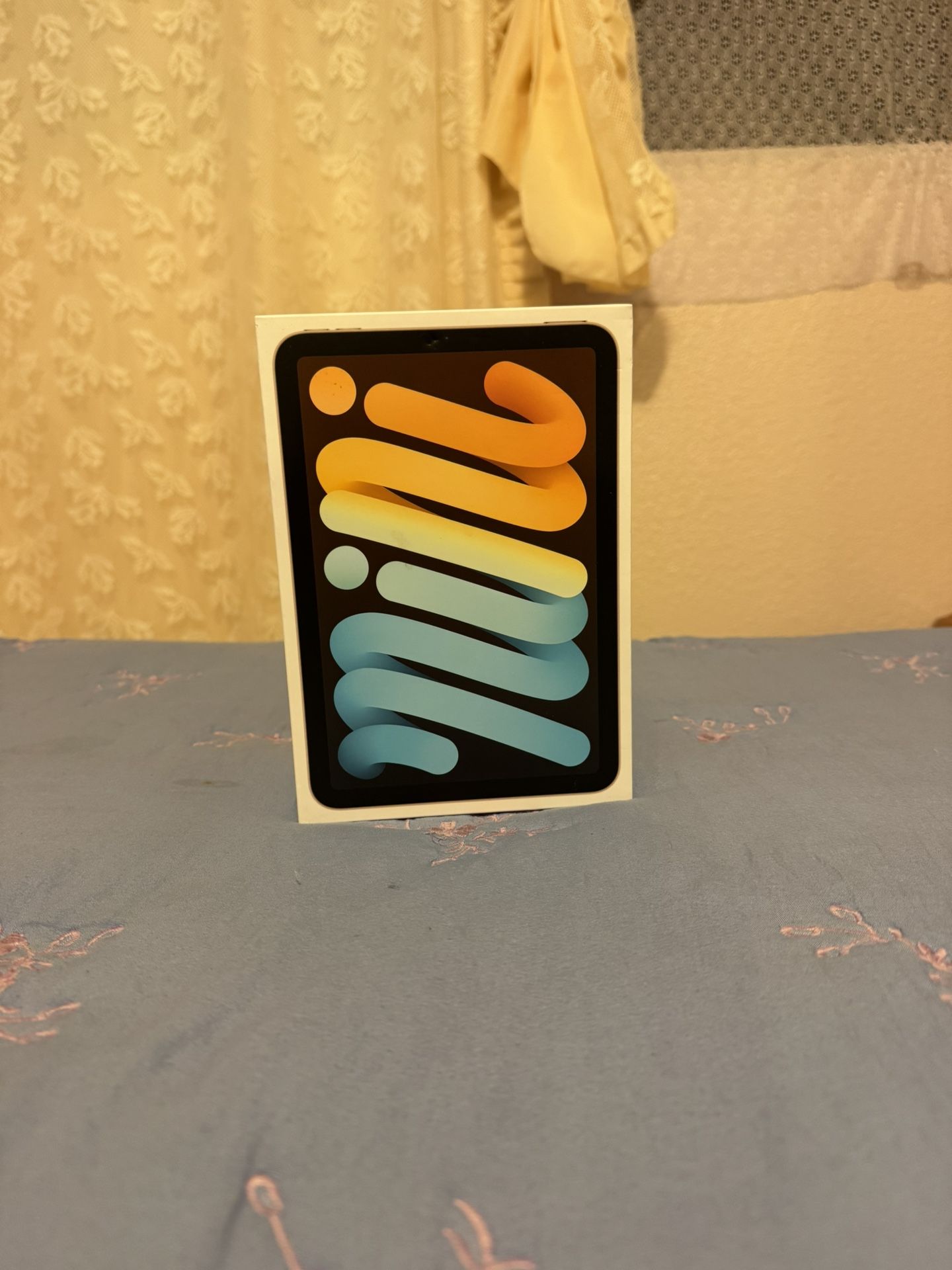 Ipad Mini 6 Box