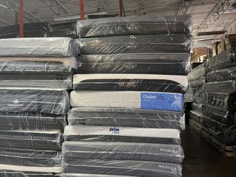 FREE DELIVER SAME DAY