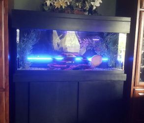 125 Tall Gallon With Canopy