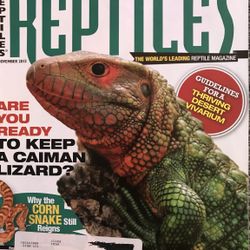 Reptiles Magazine Nov. 2013