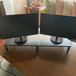 Dual Monitors & Monitor Stand