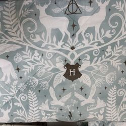 Pottery Barn Harry Potter Twin Comforter 