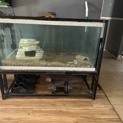 Fish Tank 100gallon