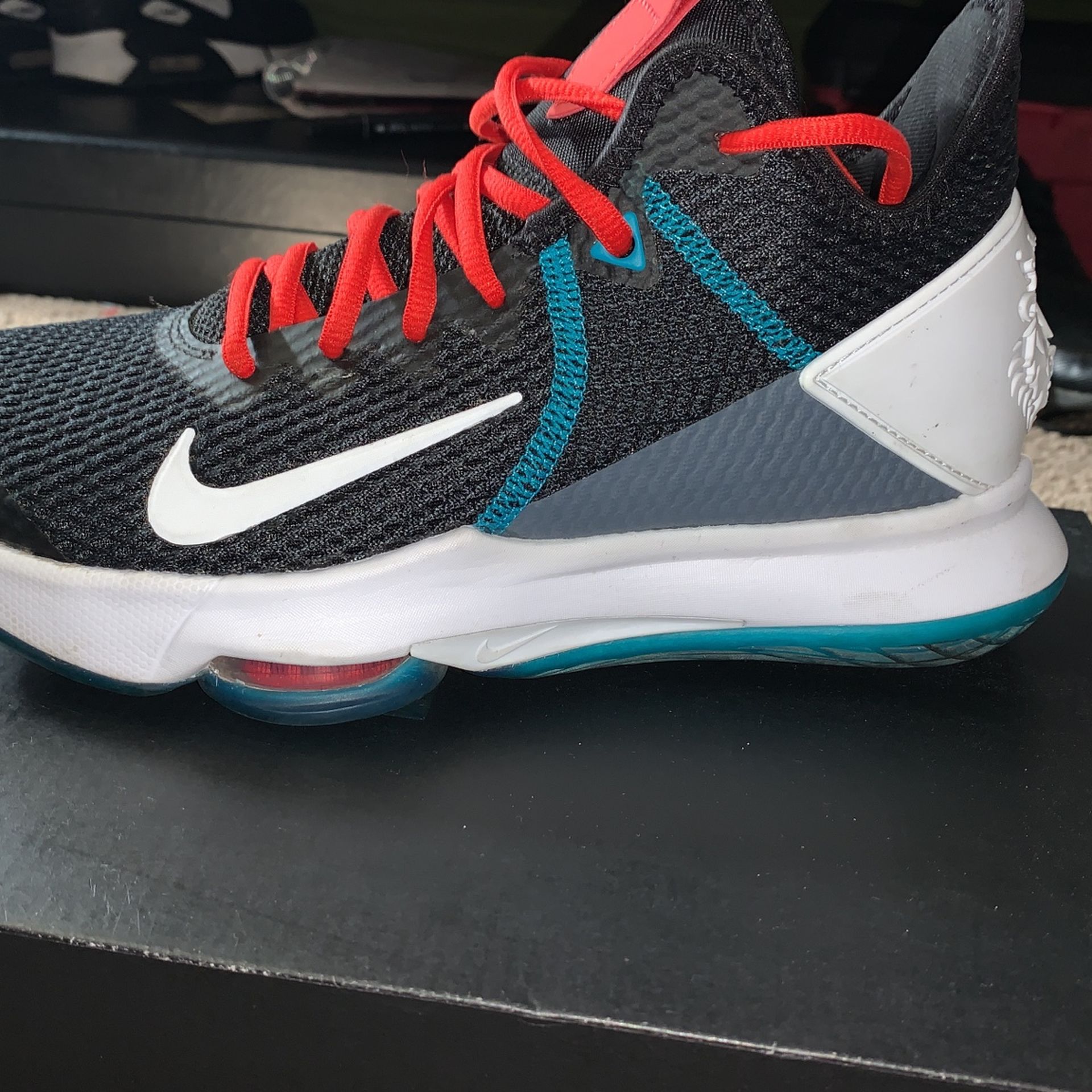 Lebron Witness IV