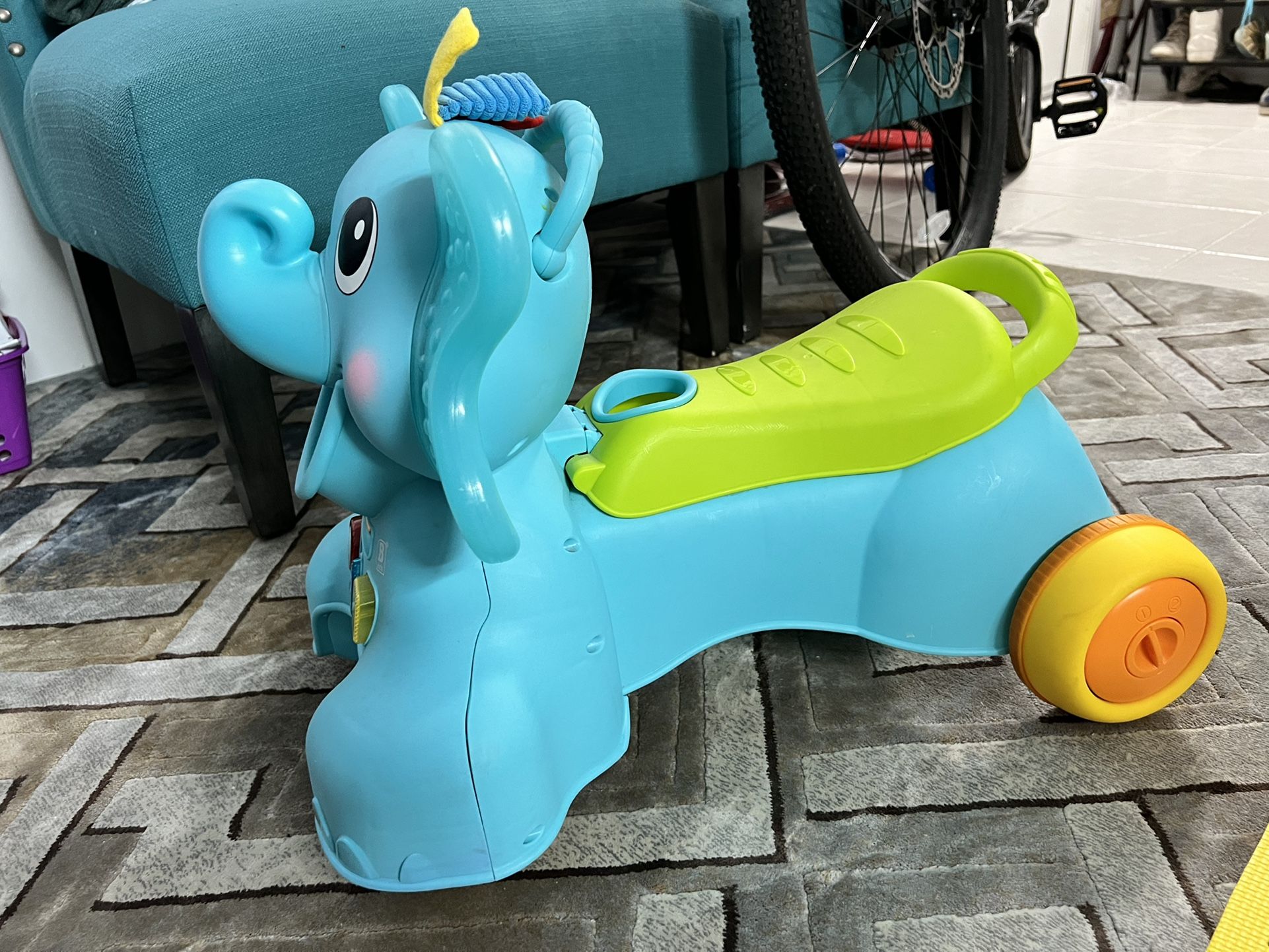 Ollie sit walk and 2025 ride elephant