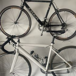 Trek Road Bikes 