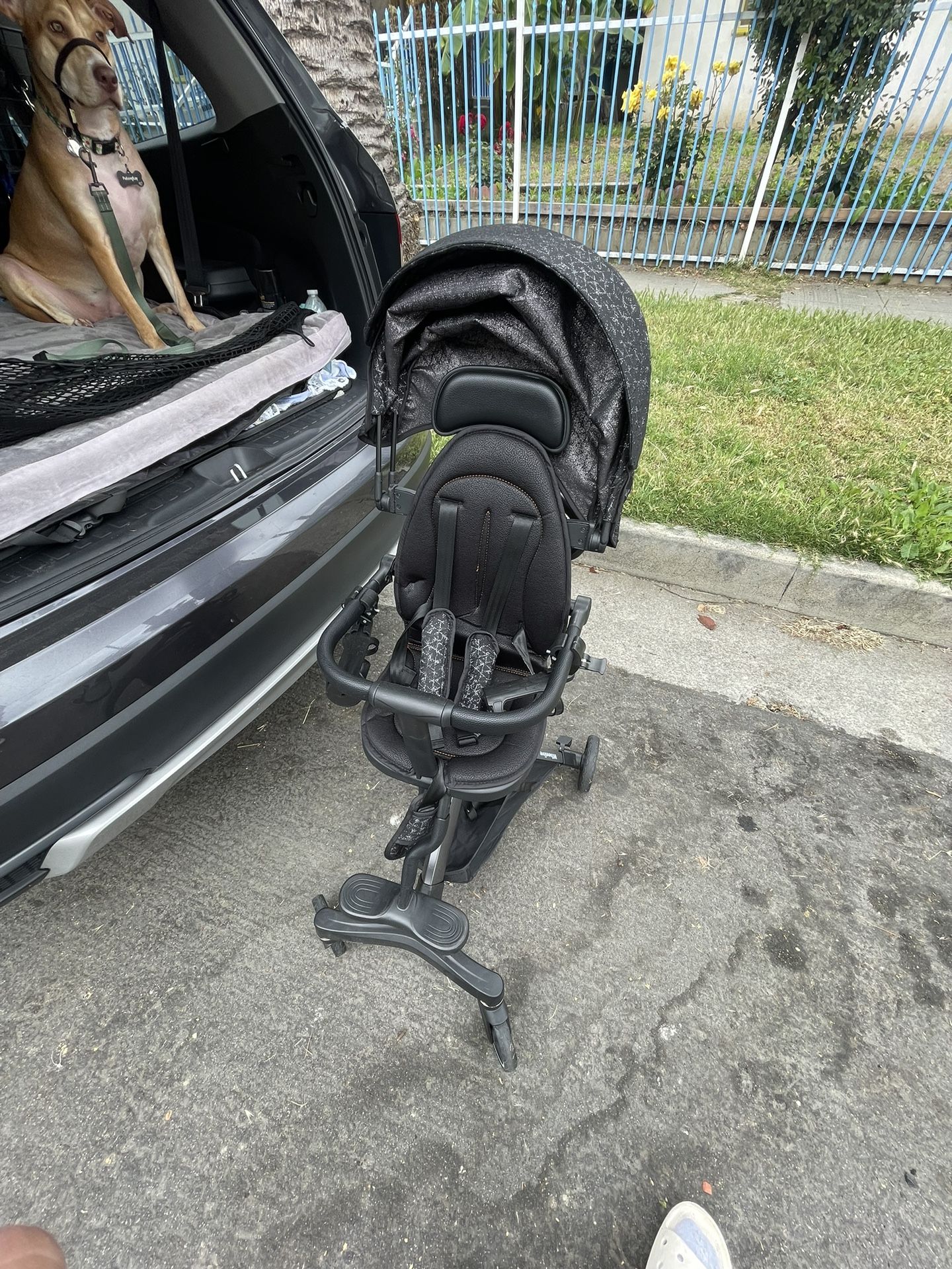 Wheelive Lightweight Stroller for Toddlers, 2-in-1 Stroller for Reversible Seat and Reclinable Backrest, Compact Travel Stroller with Sun Canopy and A