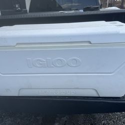 igloo maxcold outdoor cooler box.