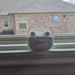 Earbuds