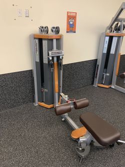 Star trac/ Nautilus Human Sport Total Delts