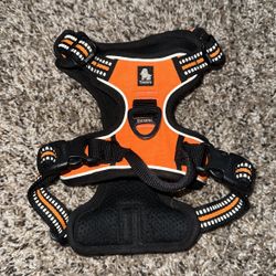 Dog Harness