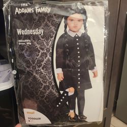 Wednesday toddler 2T