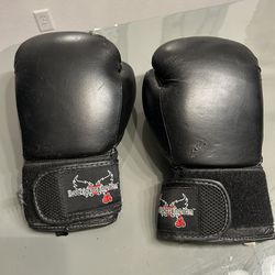 Boxing Gloves 