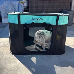 Dog Cage 