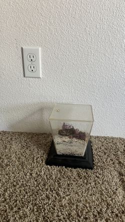 Mini Terrarium