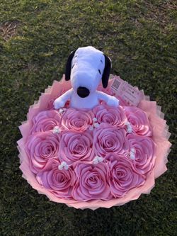 Snoopy ramo
