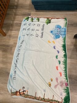 Baby Milestone Blanket