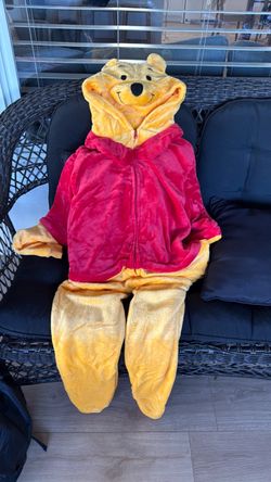 Winnie the Pooh costume
