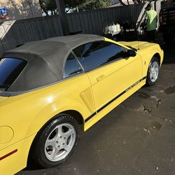 2002 Ford Mustang