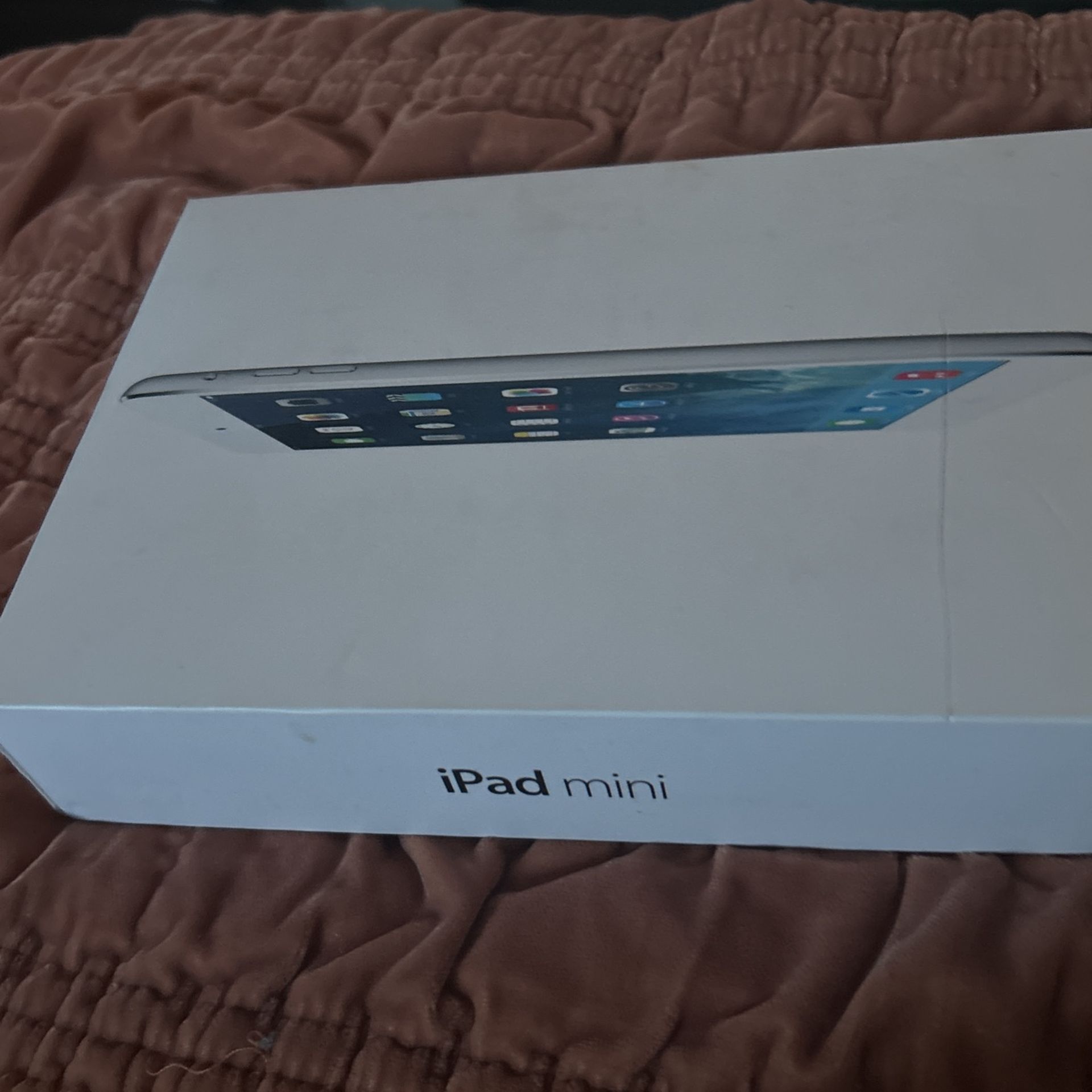 iPad Mini