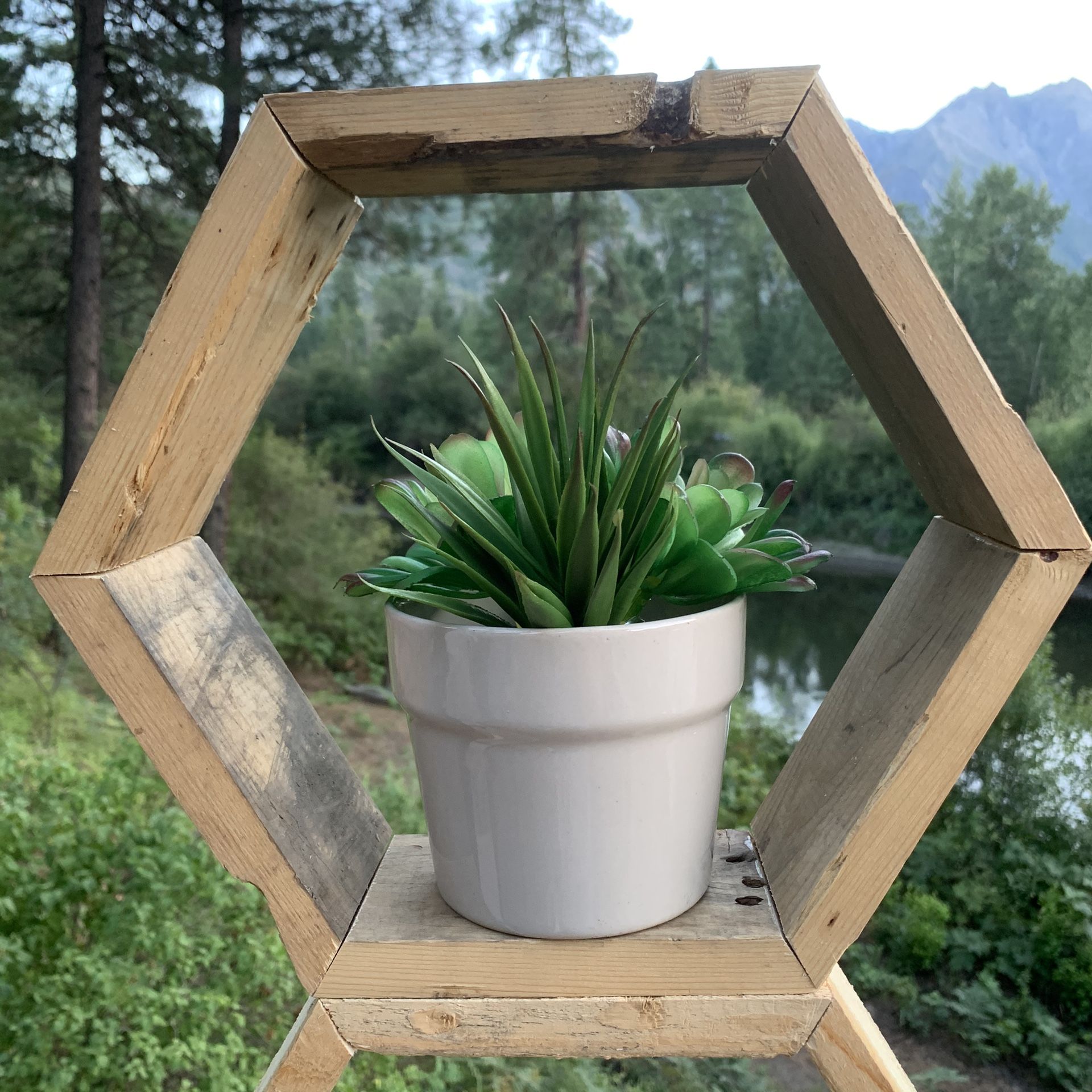 Rustic 12” hexagon shelf $10