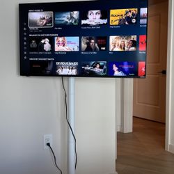 40 Inch Vizio Smart Tv & Tv Rolling Stand 