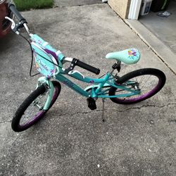 20 Inch Girls Bicycle