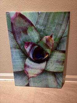 iCanvas Tropical Bromeliad Plant Stretched Canvas Print - 18" x 26"