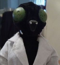 Mego The Fly