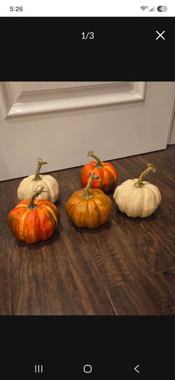 Pumpkin Decorations lightweight small