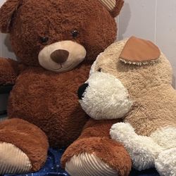 Giant Teddy Bear 