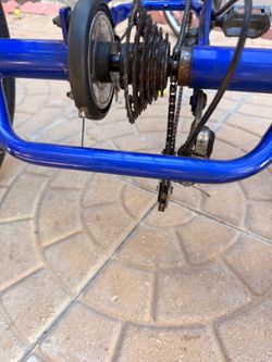 Blue Bicycle Rear Drivetrain Assembly