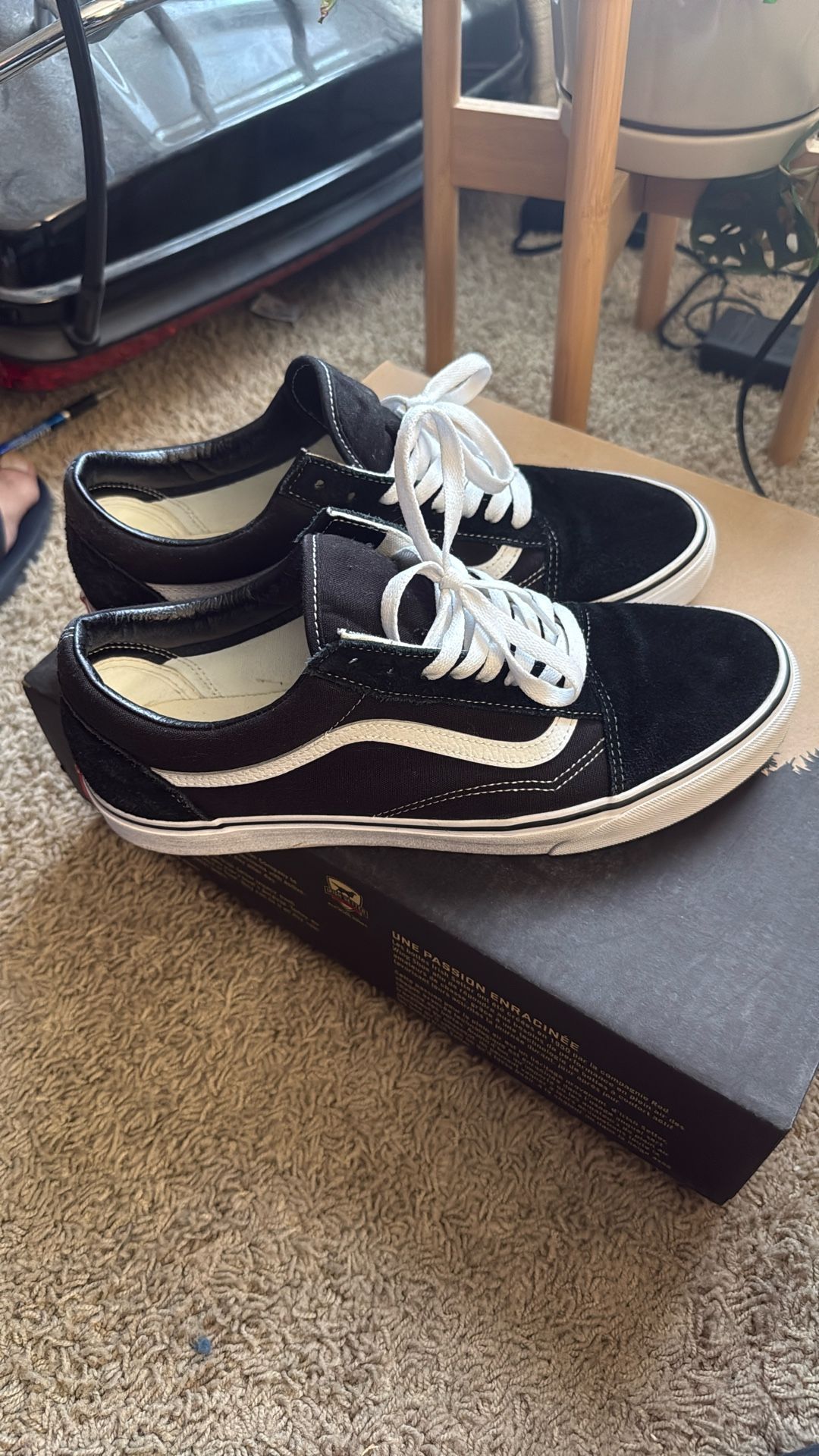Vans Size 12