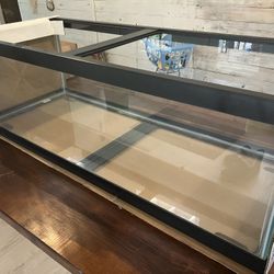40 And 60 Breeder Aquariums