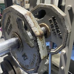 (2) 25 Lb Plates 