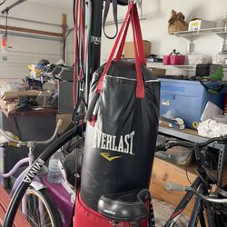 Everlast Punching Bag And Pull Up Bar