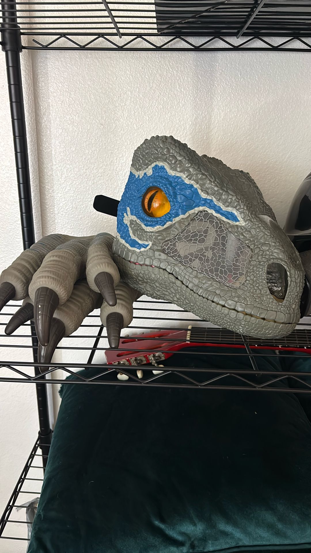 Kids Dinosaur 🦕