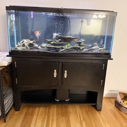 55 Gallon Aquarium Set Up