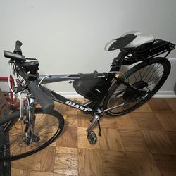 Electric Bike 