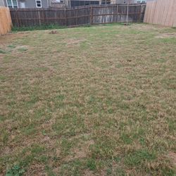 $30 all the sod you can fit in 1 trip, per car/truck (if trailer: $50)