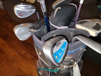 Golf bag and 10 clubs Adam's golf,tec plus,Wilson, ect