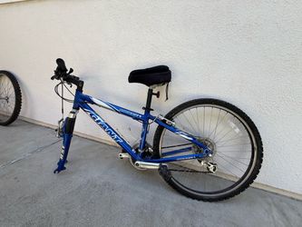 Giant Mountain Bike Blue