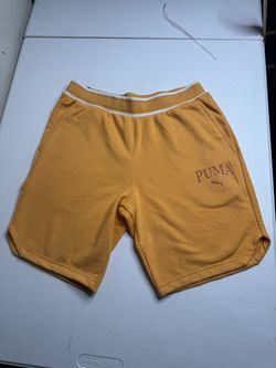 Puma squad 9 Inch shorts Men’s Size Large