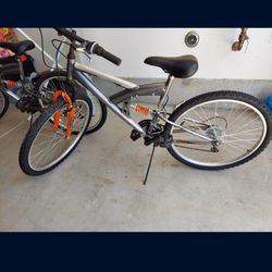 Adult bike
