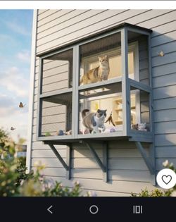Pawpet window box